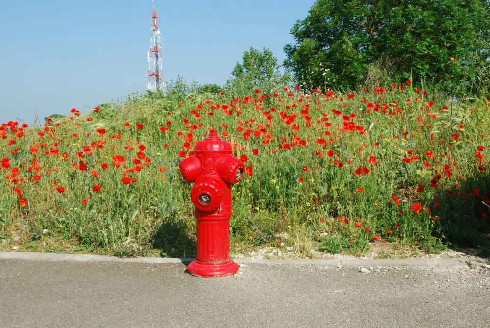 Colonne sèche et humide à Poincy